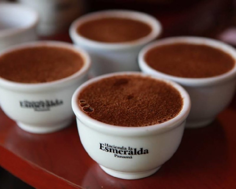 Hacienda La Esmeralda   