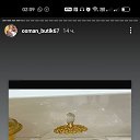 ���� ��������, �����-���������, 38 ��� - ��������� 23 ������� 2024