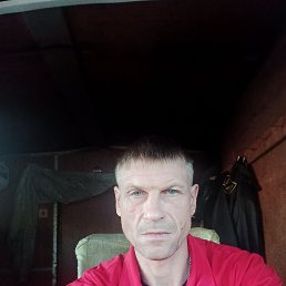 , 44, 