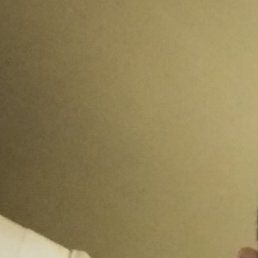 �����, ����, 47 ���