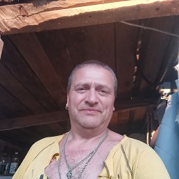 , 55, 