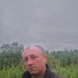 �����, ����-���������, 37 ���