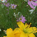 ���� ������, �����-���������, 62 ���� - ��������� 24 �������� 2025 � ������ �������