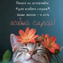 ���� ����, ������, 54 ���� - ��������� 15 ������ 2025