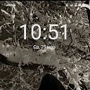 ���� ������, ��������, 20 ��� - ��������� 9 ������ 2026 � ������ ���� ����������