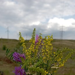 ���� ����, ��������, 20 ��� - ��������� 18 ������ 2026