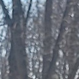 ���������, �������, 61 ���