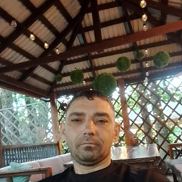 , 37, 