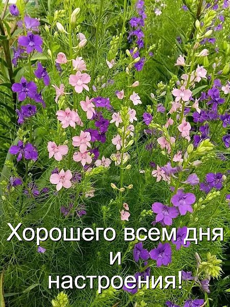 �������� ������ - 20 ���� 2026 � 10:08