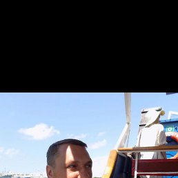 �������, ������, 46 ���