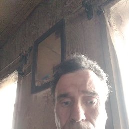 ���� ���������, 44 ����, �����