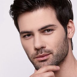 �����, ��������, 41 ���