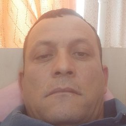 �����, �����������, 43 ����