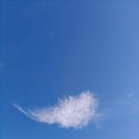 ���� �������, ���� - ��������� 11 ������� 2025 � ������ ���� ����������