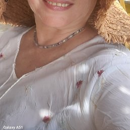 �����, ���������, 66 ���