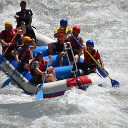 ���� ����, ���������, 36 ��� - ��������� 12 ������ 2026