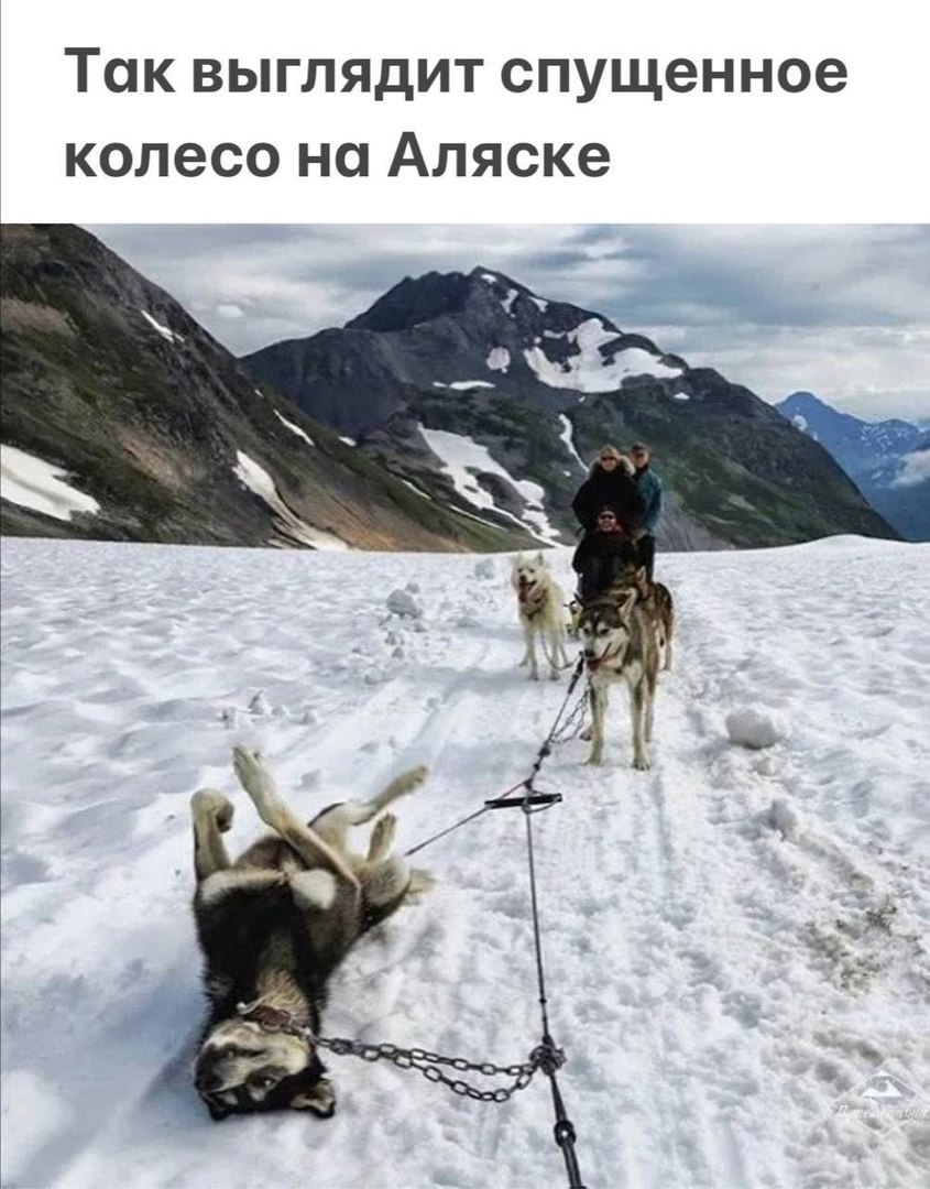  - 7  2025  15:31