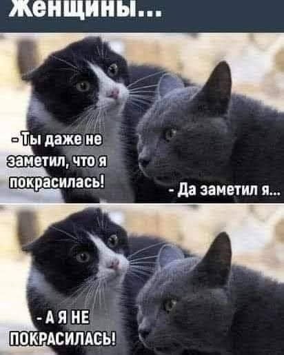  *********** - 22  2025  18:26