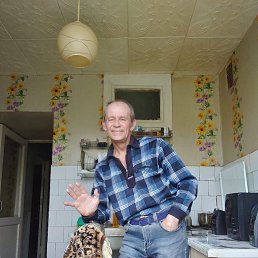 , 56, 