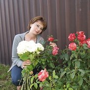 ���������, 37 ���, ������