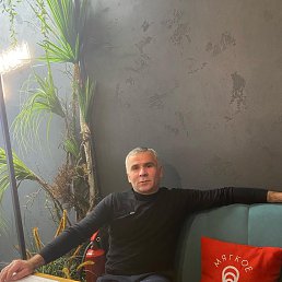 ������, 41 ���, ��������