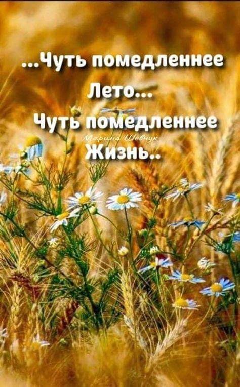   - 29  2024  15:14