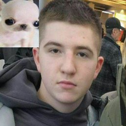, 17, 