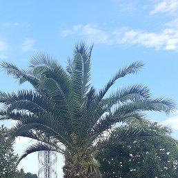 ���� ��������, ���������, 56 ��� - ��������� 19 ������ 2025