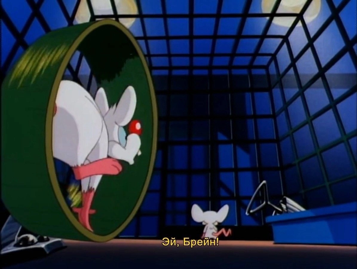 Pinky and the Brain /   , 1995  1998