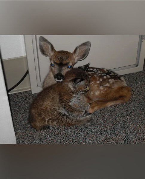 ��� �������� �� � ����, �� ������ ����� ���� �����. ����� ������� ������ � ���������� ��������� ... - 3