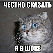 �����, 50 ���, ���������