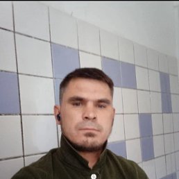 , 41, 