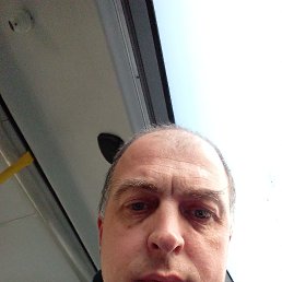 ������, 38 ���, ��������