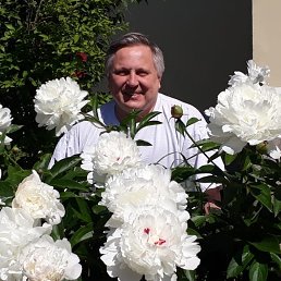 , 61, 