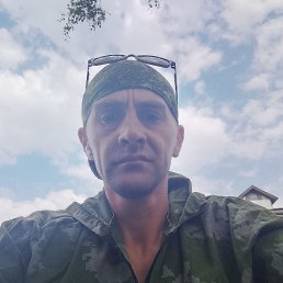 , 33, 