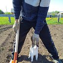 ���� ������, �������, 38 ��� - ��������� 13 ������ 2024 � ������ ���� ����������