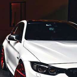 ���� �������, �����������, 23 ���� - ��������� 23 ���� 2026