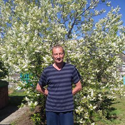 , 47, 