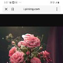 ���� ��������, ������, 41 ��� - ��������� 23 ������� 2024 � ������ ���� ����������