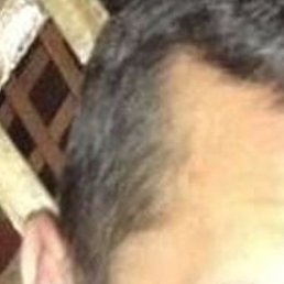 ������, �����������, 40 ���