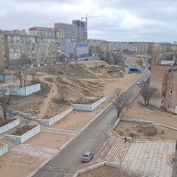 �������, ������, 36 ���