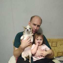 ����, 41 ���, ������������