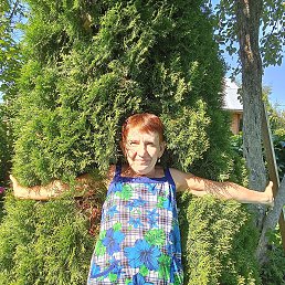 ���� ������ ��������, �����-���������, 64 ���� - ��������� 27 ������� 2024