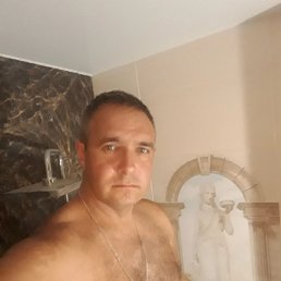 ���� ������, ������, 44 ���� - ��������� 25 ������ 2024