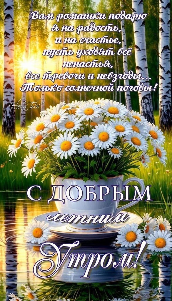   - 13  2025  11:42
