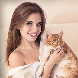 �������, 38 ���, ����������