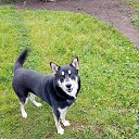 ���� ������ ������, �����-���������, 35 ��� - ��������� 30 ������� 2025