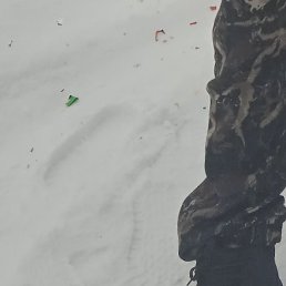 ���������, ������, 46 ���