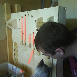 ����, ������, 49 ���