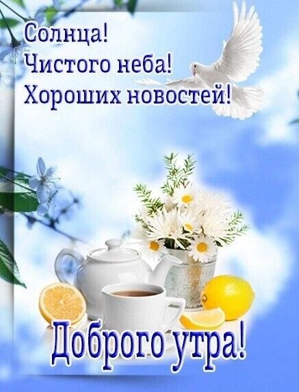   ,    . - 13  2024  21:42 - 7